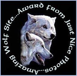 Amazing Wolf Site Award